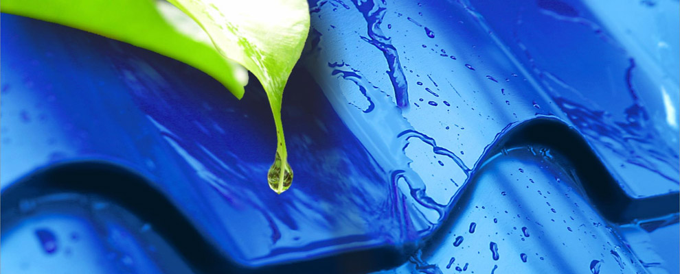 #htmlcaption3 BlachoDachówki z posypką